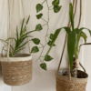 2'li hasır sepet saksı askılı bohem etnik çiceklik jüt makrome ip askılık etnik 17x17x16, 16x16x12 Bohem Shop