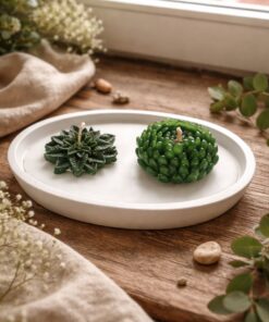 Botanik Sukulent Şeklinde Dekoratif Mum – Minimal & Doğal Tasarım Temalı 2'li Mum Tasarımı